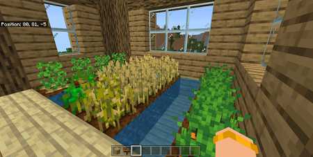 Three Connected Treehouses