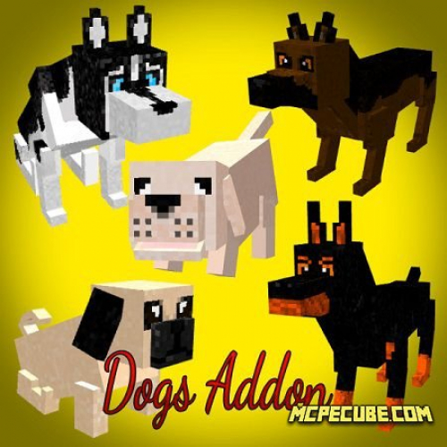 Dogs Addon 1.14/1.13+