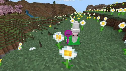 Gnome Crawly Mod for Minecraft PE
