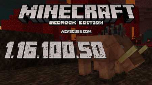 Download Minecraft PE 1.16.101 apk free: Nether Update