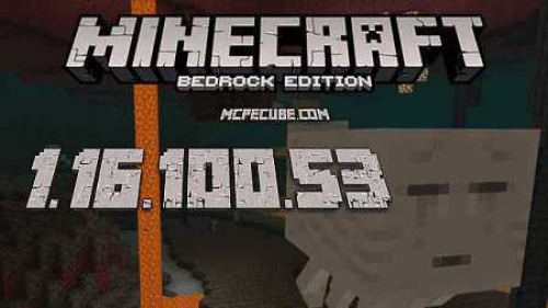 Download Minecraft 1.16.100 Nether Update apk free: Full Version