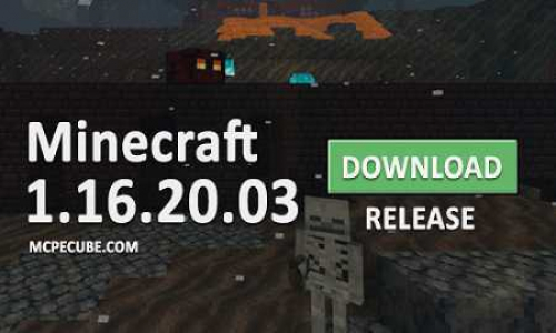 Download Minecraft PE 1.16.20 apk free: Nether Update