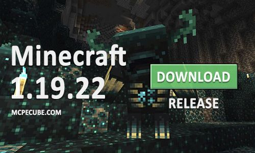 Download Minecraft PE 1.19.22 apk free: Release