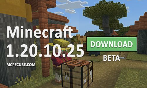 Download Minecraft 1.20.10.25 apk free: Beta Version