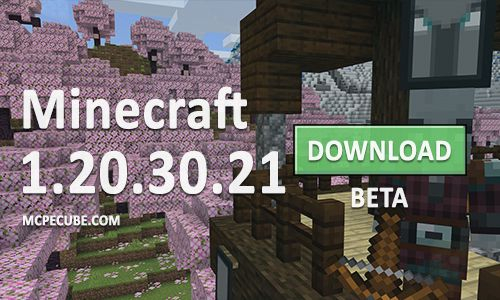 Download Minecraft 1.20.30 apk free: Full Version