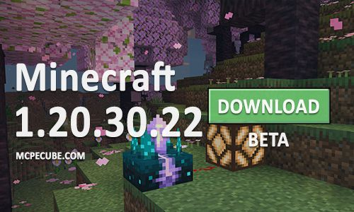 Download Minecraft PE 1.20.30.22 for Android