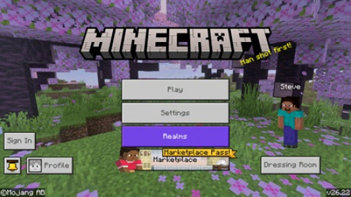 Minecraft PE 26.22 (1.26.22) for Android