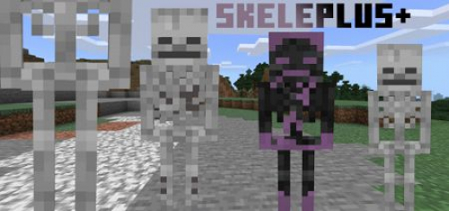 Skeleplus+ Add-on 1.17+