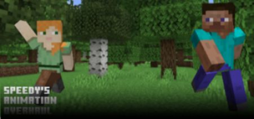 Speedy's Overhaul Animation Texture Pack