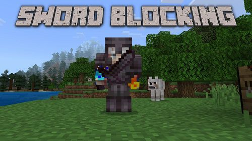 Sword Blocking Add-on 1.20+