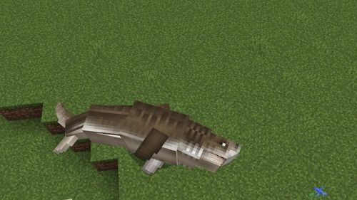 Underwater Animals Mod for Minecraft PE