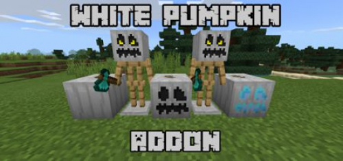 White Pumpkin Add-on 1.16/1.15+