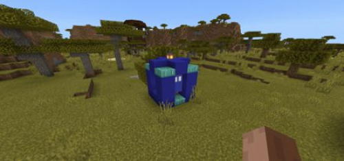 Working Bedrock Tardis Map