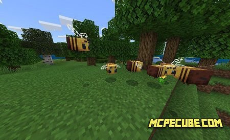 Minecraft 1.14.0.50 for Android