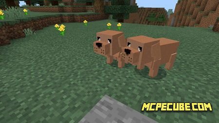Dogs Addon 1.14/1.13+