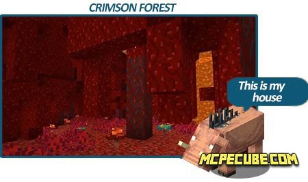 🥝 Download Minecraft PE 1.16.0 APK free: Nether Update for Android