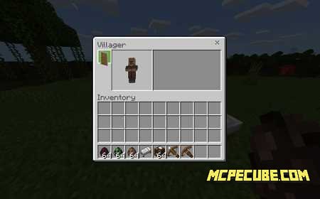 Valhalla Guards Add-on 1.15/1.14+