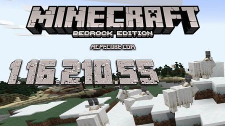 Minecraft PE 1.16.210.55 for Android