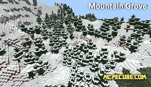 Mountain Grove