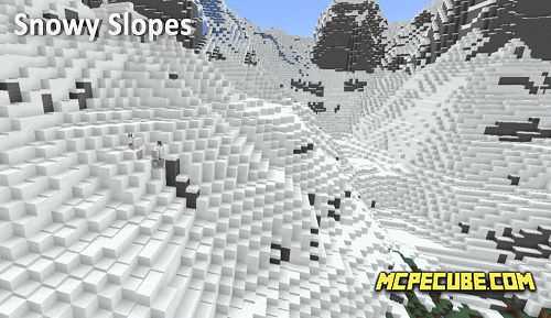 Snowy Slopes