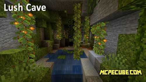 lush caves