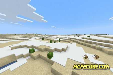 desert might have snow