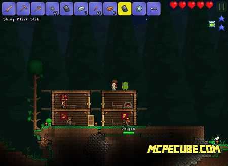 Terraria (5)