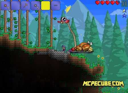 Terraria (4)