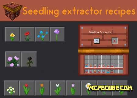 Seedling Extractor (2)