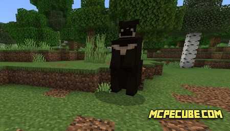 Black and Grizzly Bear (1)