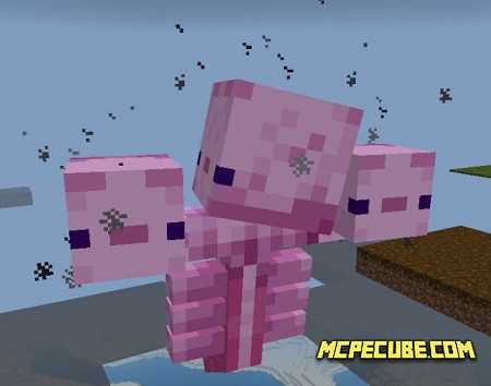 Wither Аxolotl
