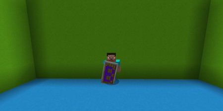 Customizable Shield - (Player Name) (2)