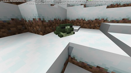 Snowy Frog