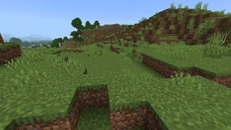 Java grass (5)