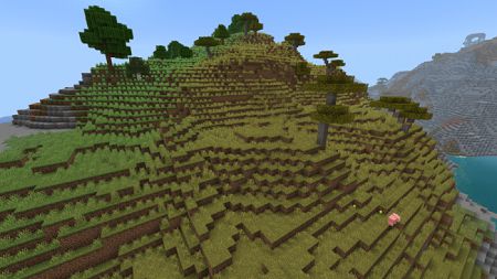 Java grass (6)