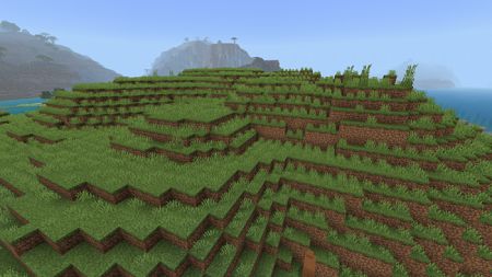 Java grass (5)