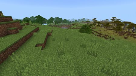 Java grass (4)