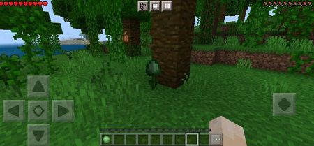 Slime Flower (2)