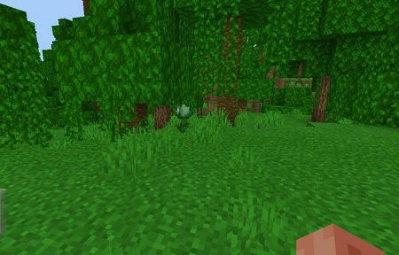 Slime Flower (1)