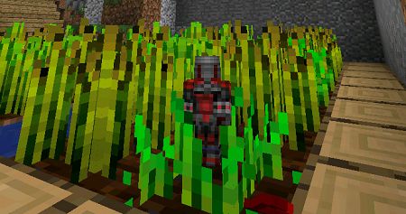 Ant-Man (3)
