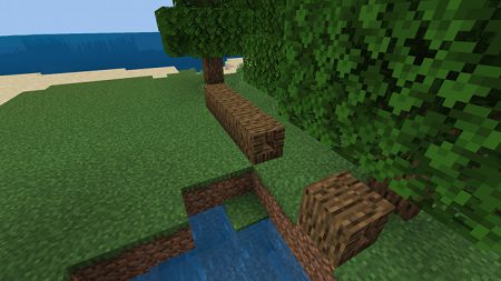 The Wild Update Concept (26)