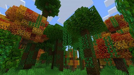 Fall Colors (5)