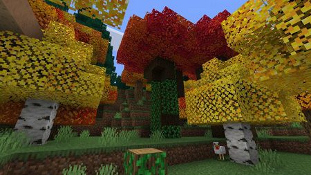 Fall Colors (4)