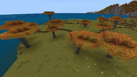 Fall Colors (3)