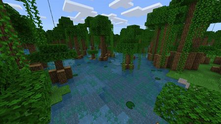 Bayou