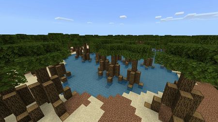Mangrove