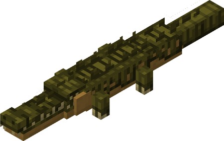 Crocodile