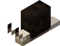 Snail