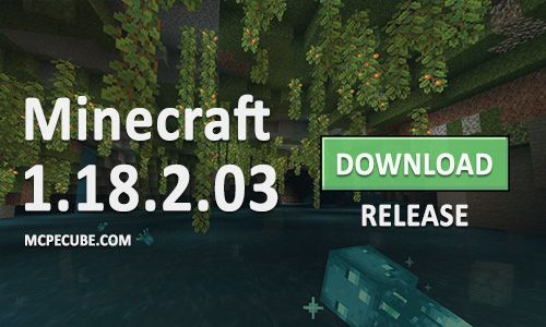 Download minecraft 1.18.2