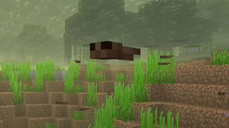 Tadpole